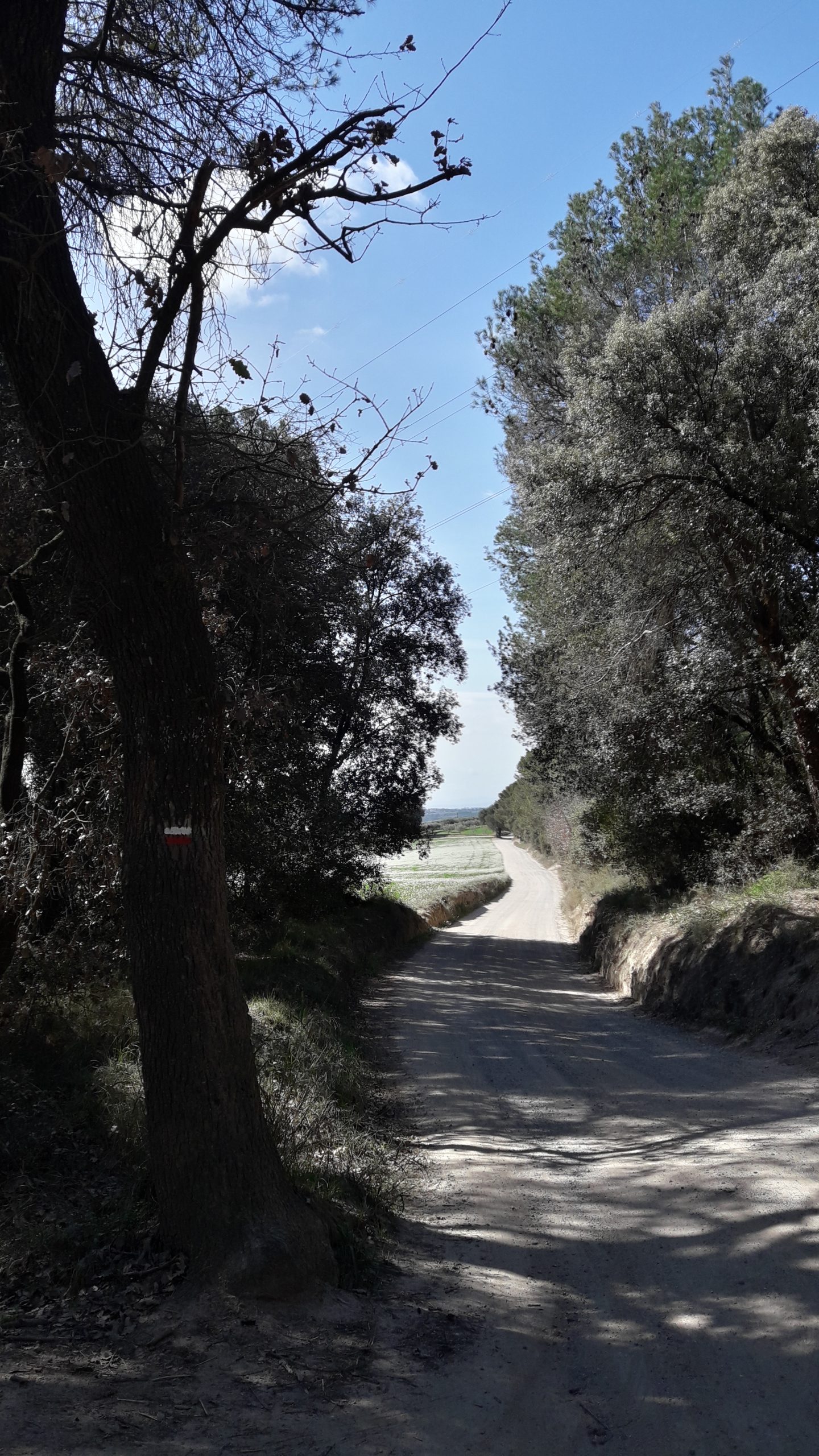 Απειλές της Κατάιμπ Χεζμπολάχ προς την ιρακινή κυβέρνηση για τις πτήσεις με το Ιράν