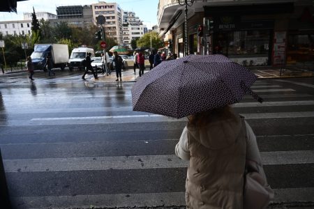 Ποινή φυλάκισης στον ιδιοκτήτη πίτμπουλ που σκότωσε μικρόσωμο σκύλο