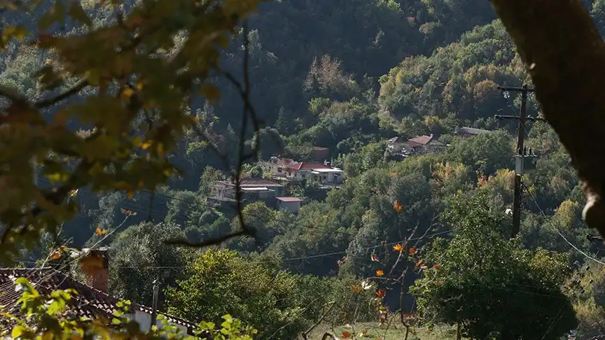 Θεσπρωτία: Στις 14 Οκτωβρίου ανοίγει η πλατφόρμα για το επίδομα μετεγκατάστασης των 10.000 ευρώ